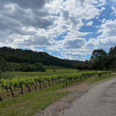 Domaine Le Petit Hameau Aparthotel Cotignac Kültér fotó